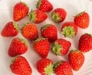 人間不信！！誰も信じられない貴方の居場所になります 癒しボイスOLが、人に疲れた貴方の愚痴、悩み、相談聞きます。 イメージ7