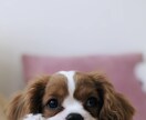 人間関係のお悩み、私が包み込みます ーあなたらしくいてください♪まずは5分からでも(^^)ー イメージ6