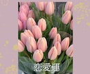 女性向け♡占い系インスタ画像を作成します ふんわり優しい世界観で統一感あるデザインを作成します⁂ イメージ2