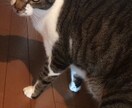 紙とペンだけで出来るストレスの正しい解消法教えます テスト面接を控えている人、ストレスをよく感じる人必見！！！ イメージ1