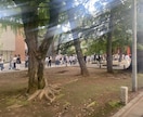 最強の他力、神様の力は活用してこそ意味があります 自分だけの絶対守護神が、「最強運」へと導く！ イメージ5