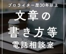 文章の書き方等についてご質問にお答えします ★AIに頼りたくない方のための電話文章相談室★ イメージ1