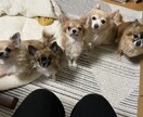 精神的な病気、うつ病でも恋愛や結婚できます 辛い努力も救われるはず！恋愛や結婚で人生が180度変わります イメージ4