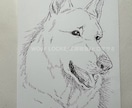 モノクロペンで描く、犬専門の似顔絵描きます 大切なご家族をペン画で一枚一枚、心を込めて手描きします。 イメージ3