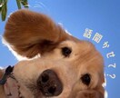 なんでもお話しお聞きします そのモヤモヤ一緒に消しませんか？ イメージ1