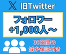 X(旧Twitter)フォロワー 千人増やします ★Xフォロワー＋1,000人～★ 拡散国：アジア★日本人多数 イメージ1