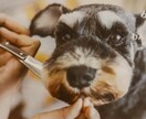 犬のしつけやサロンでのお悩みにお答えします 現役トリマーより！サロンのスタイルや無駄吠え悩んでませんか？ イメージ1