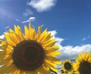 お話聞きます 誰かにただ話を聞いてほしい方(*^^*)お気軽にどうぞ イメージ1