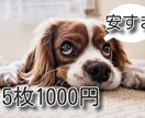 画像、写真の切り抜き承ります 安く、早くをモットーに納品いたします。 イメージ1