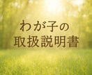 お子さんの取扱説明書お伝えします 〜四柱推命+易学からお子さんの特性を鑑定します〜 イメージ1