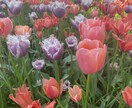 あなたの心に寄り添います 心の荷物、少し置いていきませんか？ イメージ1