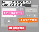 プロがリーズナブルに歌ってみたミックスします 初めての方も全力サポート！！全て込み込みのMIXサービス イメージ2