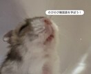 韓国語を教えます パッチム、基礎、単語、発音等の基礎を教えます イメージ1