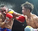 完全個別！プロのトレーニングメニュー作成します PTとATの国家資格を持つ、一流のメニューをご提供します イメージ4