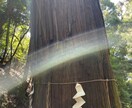 1週間！毎日1回！あなたに遠隔ヒーリング致します 運気向上・恋愛運向上・健康運・人間関係が良くなりますように イメージ2