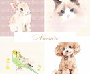 大切な家族ペットのイラスト作成いたします データお渡し＊プレゼントにも喜ばれています。 イメージ7