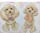 色鉛筆似顔絵肖像画描きます 世界に１つだけの愛犬、愛猫の似顔絵を原画でお渡します。 イメージ3