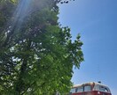 その気持ちのモヤモヤザワザワ何でも聞きます なんだか最近ちょっと‥そんな時は私と話して心晴れやか！ イメージ1