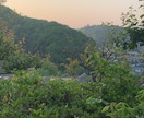 高尾山の美しい景色お届けします 高尾山の美しい景色を是非ご覧ください。 イメージ1