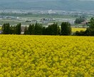 メンタルケアカウンセラーです。ぜひお待ちしています 介護福祉士は23年勤務し、色々な経験を経てカウンセラーです イメージ2