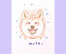 おしゃれなカラフルイラストお描きします ✳︎4月末までの特別価格実施中✳︎ イメージ1