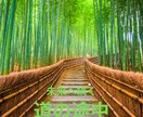 お子さまの気持ちをタロットで潜在意識から紐解きます どうすればいいの？お子さまが望んでいることを一緒に考えます イメージ4