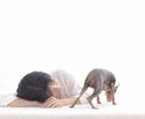 ペットロスの貴方のココロに寄り添います 私も現在進行系のペットロス経験者です。 イメージ8
