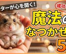 目を引くサムネイル画像を作成します 最短即日納品！1000円でクリック率を劇的に上げる1枚を。 イメージ2