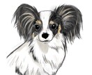 ペット・動物のイラスト作成します 毛並みや模様の特徴を捉えてペットをイラストにします。 イメージ4