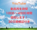 YouTube動画再生を1000時間増加させます 安心できるこのお値段。オプション購入でもっとお得に！ イメージ1