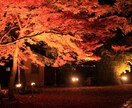 滋賀への旅行のご相談に乗ります 長年の滋賀在住者がサポートさせて頂きます! イメージ7