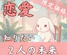 6h以内【600文字】お届け◎2人の未来を占います 【7月末まで3000円→1000円】ルノルマン×タロット鑑定 イメージ1