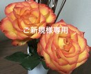 ご新規様限定☺︎ タロットカードで占います 多様なスプレッドを用いたタロットと直感で、紐解きます。 イメージ2