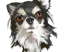 リアル＆可愛い♡愛犬デフォルメ絵を描きます リアルさと可愛らしさを両立させたデフォルメに仕上げます イメージ1