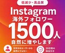 インスタフォロワーを1500人増やします 低減少でゆっくりと自然な海外フォロワーを増やします。 イメージ1