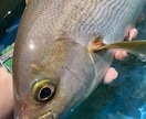 釣りを始めたいあなたのお悩み聞きます 釣りを始めたいけど店員さんに質問しにくい内容、聞いて下さい イメージ4