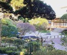 スマホで写真を撮ってます 良い風景様々な瞬間が撮れたらと思ってカメラ構えてます！ イメージ3