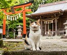 復縁 連絡なし ブロック 復縁時期を強力霊視します 彼は今どう思っているのか。復縁の可能性と時期を読み解きます イメージ6