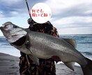 釣り(ルアーフィッシング)に関する疑問を解決します なんでもかんでも聞いてください！丁寧に説明します！ イメージ1