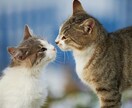 結婚時期・結婚相手・未来を複数占術でみます 理想の結婚生活へ導く♡四柱推命の総合鑑定＋一言メッセージ付き イメージ10