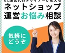 ネットショップ運営に関するご相談承ります EC販促のお悩み、一緒に解決しませんか？ イメージ1