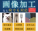 画像加工・レタッチ・簡易バナー制作まで承ります EC物販やチラシに！高クオリティな画像で差をつける！ イメージ1