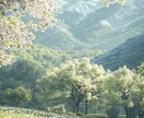 健康の不安や体の不調を看護師に相談できます 大学病院・透析・消化器外科経験の看護師が伺います イメージ2
