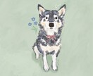 やさしい絵本タッチの動物イラスト描きます 猫、犬、うさぎなどペットの魅力をやさしいタッチで表現します。 イメージ4