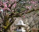 魂結び霊導鑑定で《本質の輝きと宿命》を霊視します 迷い続けた占いの果てに疲れた心へ──魂が選ぶ真実の未来を イメージ7