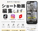 ショート動画字幕入れ3000円でします 丁寧かつ迅速に対応いたいします! イメージ1