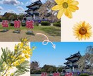 シンプル！曇り空を晴れ空にします 即日納品◎家族写真や大事な人とのツーショットを綺麗に残せます イメージ2
