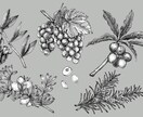 お洒落な手描き風のイラストを描きます 挿絵などに使用できそうなイラストを幅広く描きます。 イメージ1