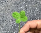 養育費をもらえていない方、自分で執行ます 養育費をもらえてない方、あきらめないで イメージ2