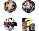 写真からオリジナルLINEスタンプ作成いたします 携帯に眠っている思い出の写真をスタンプにしませんか？ イメージ5